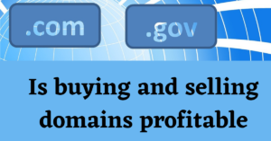 Read more about the article Is Buying and Selling Domains Profitable?